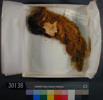Click for hi-res image - Human Hair from Gurob Tombs