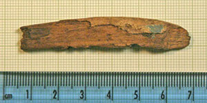Click for hi-res image - Gurob fragment of oarblade
