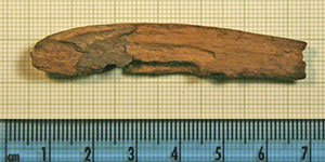 Click for hi-res image - Gurob fragment of oarblade