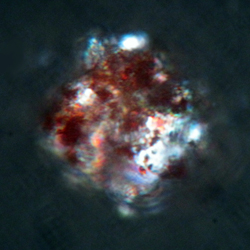 Click for hi-res image - Gurob quartz grain