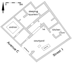 Schematic plan of House 7.