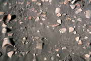 Closeup detail of the surface at Mashkan-shapir showing the density of the artifact scatter; photo © 2004 Elizabeth C. Stone; used with permission.
