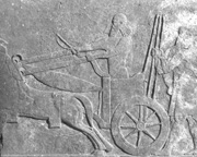 One of the 100s of bas-relief slabs (#NA-12-1975) once from Tiglath-pileser's palace found during the Polish excavations depicting the king's Babylonian Campaign; © 1975 Polish Center of Archaeology.