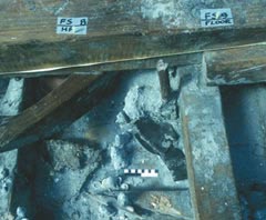 Detail photo of timbers from the Tantura B shipwreck © 1996 Institute of Nautical Archeaology - used with permission
