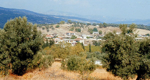 View toward the hillside of Tsoungiza (middle distance); © 1985 Nemea Valley Archaeological Project; used with permission.