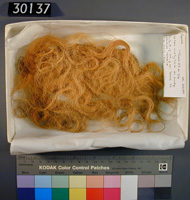 Click for hi-res image - Human Hair from Gurob Tombs