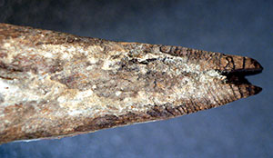 Click for hi-res image - Gurob hull - stern section