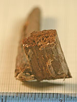 Click for hi-res image - Gurob quarter-rudder