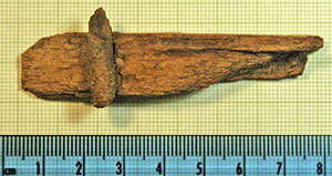 Click for hi-res image - Gurob fragment