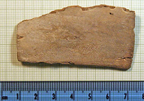 Click for hi-res image - Gurob fragment