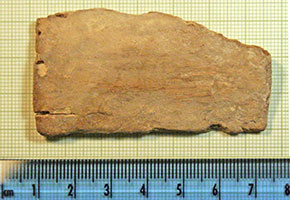 Click for hi-res image - Gurob fragment