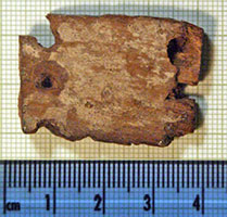 Click for hi-res image - Gurob fragment