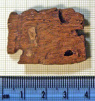 Click for hi-res image - Gurob fragment