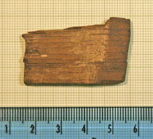 Click for hi-res image - Gurob fragment