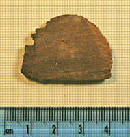 Click for hi-res image - Gurob fragment