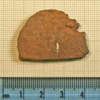 Click for hi-res image - Gurob fragment