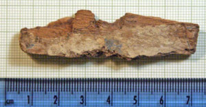 Click for hi-res image - Gurob fragment