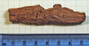 Click for hi-res image - Gurob fragment