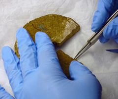 Click for hi-res image - Gurob removing sample (p.240)