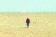 View across the site (with a person for scale) taken during the surface survey undertaken in the late 1980s, showing the general topography and artiact scatters found in the region; photo © 2004 Elizabeth C. Stone; used with permission.